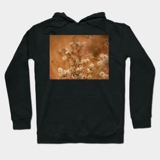 A Golden Blend Hoodie